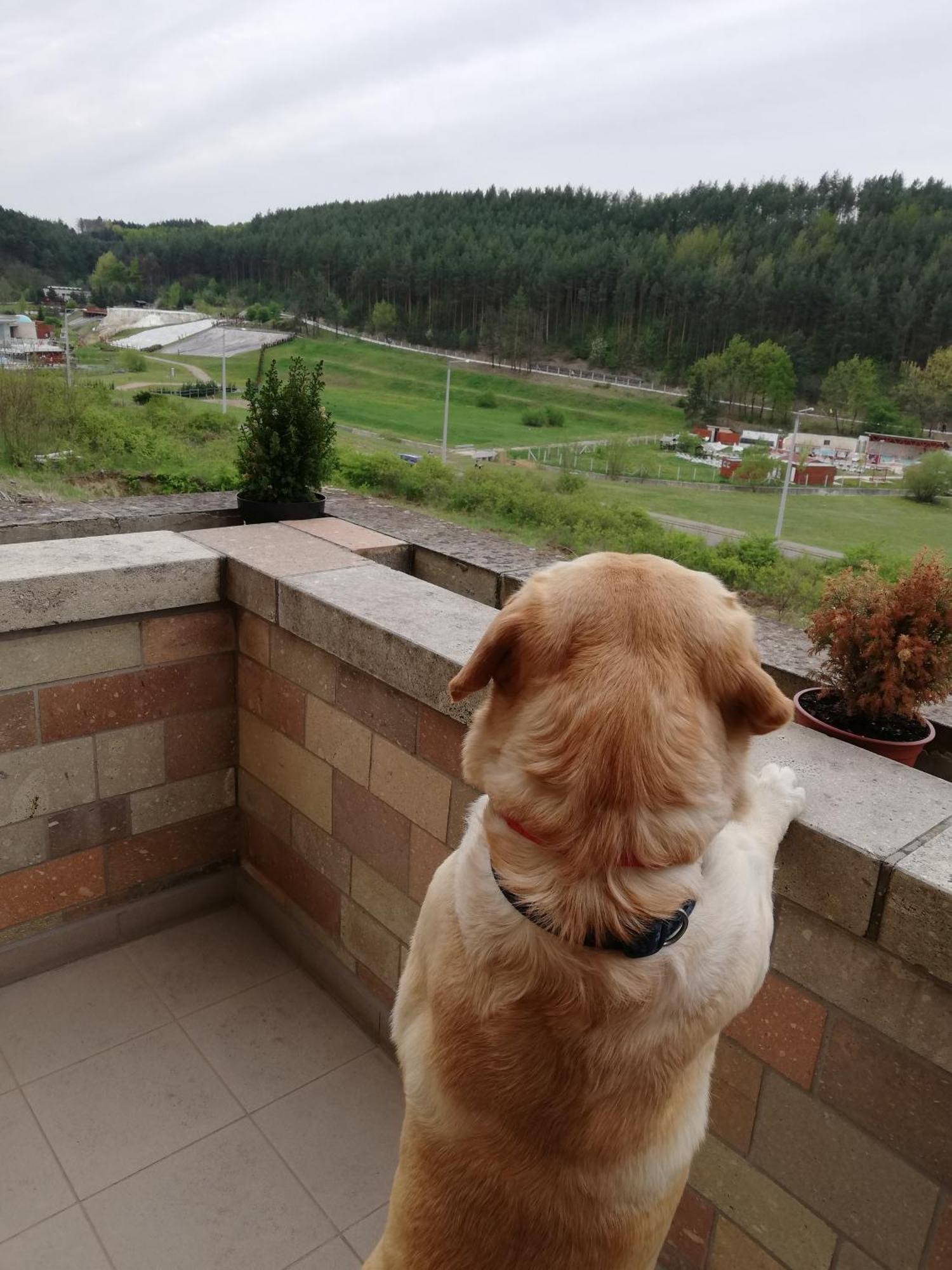 Chill Hill Apartment Egerszalók Екстериор снимка